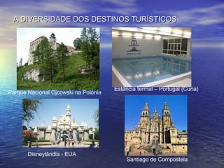 A DIVERSIDADE DOS DESTINOS TURÍSTICOS

Parque Nacional Ojcowski na Polónia

Disneylândia - EUA

Estância termal – Portugal (Curia)

Santiago de Compostela

 