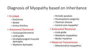 Diagnosis of Myopathy based on Inheritance
• X-Linked
– Duchenne
– Becker
– Emery-Dreifuss
• Autosomal Dominant
– Facioscapulohumeral
– Limb-girdle
– Oculopharyngeal muscular
dystrophy
– Myotonic dystrophy
– Periodic paralysis
– Paramyotonia congenita
– Thomsen disease
– Central core myopathy"
• Autosomal Recessive
– Limb-girdle
– Metabolic myopathies
– Becker myotonia
• Maternal Transmission
– Mitochondrial myopathies
 