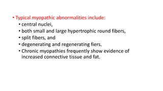 • Typical myopathic abnormalities include:
• central nuclei,
• both small and large hypertrophic round fibers,
• split fibers, and
• degenerating and regenerating fiers.
• Chronic myopathies frequently show evidence of
increased connective tissue and fat.
 
