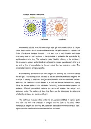 [IMMUNOLOGY LAB REPORT] Antigen - Antibody Precipitation Reaction | DOCX