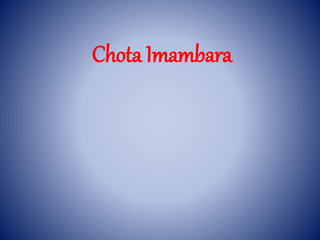 Chota Imambara
 