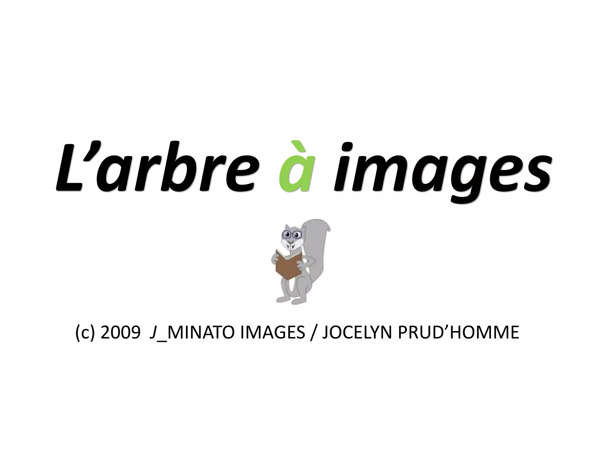 (c) 2009 J_MINATO IMAGES / JOCELYN PRUD’HOMME