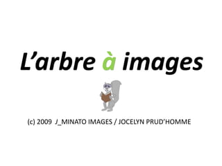 (c) 2009 J_MINATO IMAGES / JOCELYN PRUD’HOMME
 