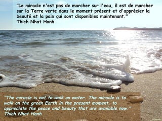 "Le miracle n'est pas de marcher sur l'eau, il est de marcher
       sur la Terre verte dans le moment présent et d'apprécier la
       beauté et la paix qui sont disponibles maintenant."
       Thich Nhat Hanh




"The miracle is not to walk on water. The miracle is to
walk on the green Earth in the present moment, to
appreciate the peace and beauty that are available now."
Thich2012
Janvier
        Nhat Hanh     Ouistitis - http://lhumeurdesouistitis.blogspot.com/   11
 