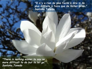 "Il n'y a rien de plus facile à dire ni de
                                     plus difficile à faire que de lâcher prise."
                                     Santoka Taneda




"There is nothing easier to say no
more difficult to do but to let go.”
Santoka Taneda
Janvier 2012          Ouistitis - http://lhumeurdesouistitis.blogspot.com/          12
 