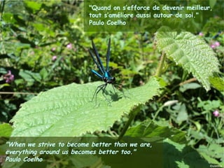 "Quand on s’efforce de devenir meilleur,
                                       tout s’améliore aussi autour de soi."
                                       Paulo Coelho




"When we strive to become better than we are,
everything around us becomes better too."
Paulo 2012
Janvier Coelho       Ouistitis - http://lhumeurdesouistitis.blogspot.com/         14
 