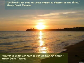 "Le paradis est sous nos pieds comme au dessous de nos têtes."
      Henry David Thoreau




"Heaven is under our feet as well as over our heads."
Henry David Thoreau
Janvier 2012          Ouistitis - http://lhumeurdesouistitis.blogspot.com/   15
 