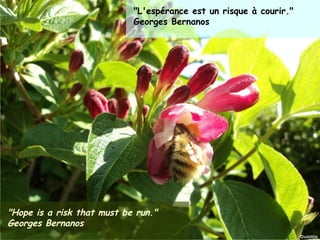 "L'espérance est un risque à courir."
                                  Georges Bernanos




"Hope is a risk that must be run."
Georges Bernanos
Janvier 2012         Ouistitis - http://lhumeurdesouistitis.blogspot.com/   17
 