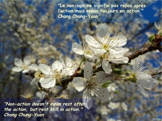 "Le non-agir ne signifie pas repos après
                                   l’action mais repos toujours en action."
                                   Chang Chung-Yuan




"Non-action doesn't mean rest after
the action, but rest still in action."
Chang Chung-Yuan
Janvier 2012          Ouistitis - http://lhumeurdesouistitis.blogspot.com/    5
 