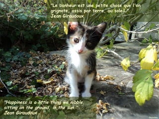 "Le bonheur est une petite chose que l'on
                               grignote, assis par terre, au soleil."
                               Jean Giraudoux




"Happiness is a little thing we nibble,
sitting on the ground, in the sun."
Jean 2012
Janvier Giraudoux      Ouistitis - http://lhumeurdesouistitis.blogspot.com/   6
 