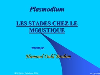 Plasmodium

 LES STADES CHEZ LE
     MOUSTIQUE

                  Présenté par:


           Hamoud Ould Brahim

                                           1
IPM/Atelier Paludisme 2004        04/05/2004
 