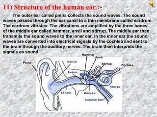 11) Structure of the human ear :-
The outer ear called pinna collects the sound waves. The sound
waves passes through the ear canal to a thin membrane called eardrum.
The eardrum vibrates. The vibrations are amplified by the three bones
of the middle ear called hammer, anvil and stirrup. The middle ear then
transmits the sound waves to the inner ear. In the inner ear the sound
waves are converted into electrical signals by the cochlea and sent to
the brain through the auditory nerves. The brain then interprets the
signals as sound.
Hammer
Anvil
Stirrup Cochlea
Pinna
 