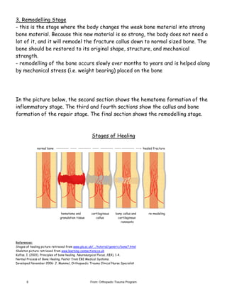 Bone healing | PDF