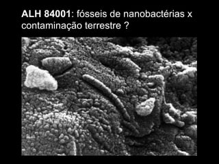 ALH 84001: fósseis de nanobactérias x
contaminação terrestre ?
 