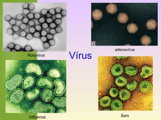 Rotavírus Vírus 
adenovírus 
Influenza Sars 
 