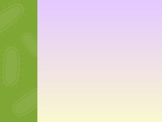 O universo microscópico