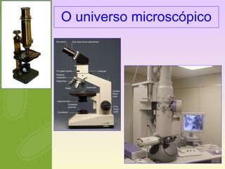 O universo microscópico 
 