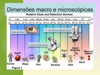 Dimensões macro e microscópicas 
 