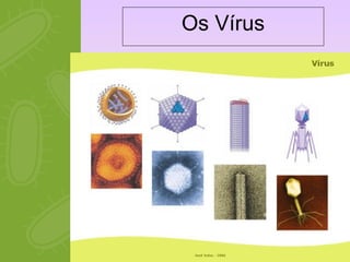 Os Vírus 
 