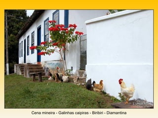 Cena mineira - Galinhas caipiras - Biribiri - Diamantina
 