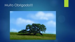 Muito Obrigado!!!

 