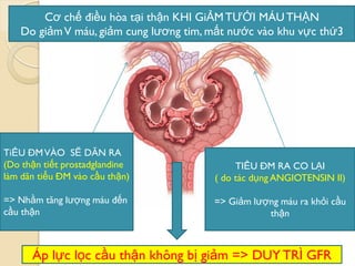 Áp lực lọc cầu thận không bị giảm => DUY TRÌ GFR
Cơ chế điều hòa tại thận KHI GiẢMTƢỚI MÁU THẬN
Do giảmV máu, giảm cung lƣơng tim, mất nƣớc vào khu vực thứ3
TiỂU ĐMVÀO SẼ DÃN RA
(Do thận tiết prostadglandine
làm dãn tiểu ĐM vào cầu thận)
=> Nhằm tăng lƣợng máu đến
cầu thận
TIỂU ĐM RA CO LẠI
( do tác dụng ANGIOTENSIN II)
=> Giảm lƣợng máu ra khỏi cầu
thận
 