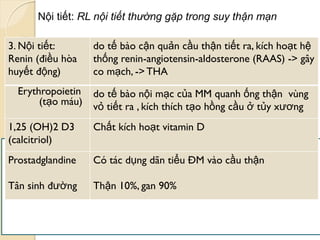 5
3. Nội tiết:
Renin (điều hòa
huyết động)
do tế bào cận quản cầu thận tiết ra, kích hoạt hệ
thống renin-angiotensin-aldosterone (RAAS) -> gây
co mạch, -> THA
Erythropoietin
(tạo máu)
do tế bào nội mạc của MM quanh ống thận vùng
vỏ tiết ra , kích thích tạo hồng cầu ở tủy xƣơng
1,25 (OH)2 D3
(calcitriol)
Chất kích hoạt vitamin D
Prostadglandine
Tân sinh đƣờng
Có tác dụng dãn tiểu ĐM vào cầu thận
Thận 10%, gan 90%
Nội tiết: RL nội tiết thường gặp trong suy thận mạn
 