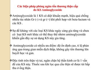 Aminoglycoside là 1 KS có diệt khuẩn mạnh, hiệu quả chống
nhiều tác nhân Gr (-) và gr (+) khi phối hợp với beta-lactam và
các KS .
Sự đề kháng với các loại KS khác ngày càng gia tăng và chưa
có loại KS mới khác có thể thay thế nhóm aminoglycoside
khiến gần đây sự sử dụng KS này gia tăng.
 Aminoglycoside có nhiều ưu điểm: độ ổn định cao, tỉ lệ phản
ứng qua trung gian miễn dịch thấp, không gây tổn thương lên
huyết học và gan.
Độc tính trên thận và tai, ngăn chặn hệ thần kinh cơ là 1 vấn
đề của KS này. Thuốc sau khi lọc qua cầu thận sẽ được tái hấp
thu ở ống thận.
Các biện pháp phòng ngừa tổn thƣơng thận cấp
do KS Aminoglycoside
 