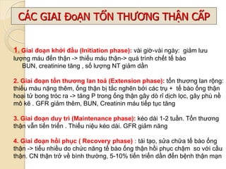 1. Giai đoạn khởi đầu (Initiation phase): vài giờ-vài ngày: giảm lƣu
lƣợng máu đến thận -> thiếu máu thận-> quá trình chết tế bào
BUN, creatinine tăng , số lƣợng NT giảm dần
2. Giai đoạn tổn thƣơng lan toả (Extension phase): tổn thƣơng lan rộng:
thiếu máu nặng thêm, ống thận bị tắc nghẽn bởi các trụ + tế bào ống thận
hoại tử bong tróc ra -> tăng P trong ống thận gây dò rỉ dịch lọc, gây phù nề
mô kẽ . GFR giảm thêm, BUN, Creatinin máu tiếp tục tăng
3. Giai đoạn duy trì (Maintenance phase): kéo dài 1-2 tuần. Tổn thƣơng
thận vẫn tiến triển . Thiểu niệu kéo dài. GFR giảm năng
4. Giai đoạn hồi phục ( Recovery phase) : tái tạo, sửa chữa tế bào ống
thận -> tiểu nhiều do chức năng tế bào ống thận hồi phục chậm so với cầu
thận. CN thận trở về bình thƣờng, 5-10% tiến triển dần đến bệnh thận mạn
CÁC GIAI ĐoẠN TỔN THƯƠNG THẬN CẤP
 