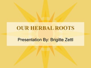 OUR HERBAL ROOTS
Presentation By: Brigitte Zettl

 