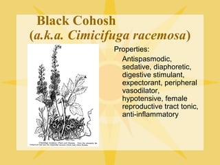 Black Cohosh
(a.k.a. Cimicifuga racemosa)
Properties:
Antispasmodic,
sedative, diaphoretic,
digestive stimulant,
expectorant, peripheral
vasodilator,
hypotensive, female
reproductive tract tonic,
anti-inflammatory

 