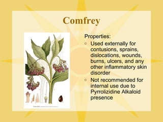 Comfrey
Properties:
o Used externally for
contusions, sprains,
dislocations, wounds,
burns, ulcers, and any
other inflammatory skin
disorder
o Not recommended for
internal use due to
Pyrrolizidine Alkaloid
presence

 