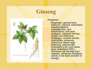 Ginseng
Properties:
Adaptogen, general tonic,
antitumor, anitviral, antioxidant,
hepatoprotective,
antispasmodic, antiinflammatory, anti-ulcer,
analgesic, supports nervous
system and endocrine,
antifatigue, corrects erectile
dysfunction, enhances
endurance, blood sugar
balancing, reduces bad
cholesterol (LDL) and raises
good cholesterol (HDL),
minimizes cell damage from
radiation, enhances metablolic
activity in the brain (transfer of
energy)

 