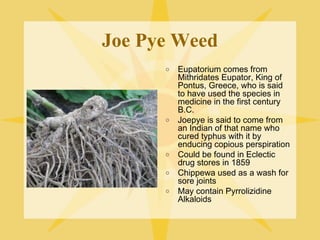 Joe Pye Weed
o

o

o
o
o

Eupatorium comes from
Mithridates Eupator, King of
Pontus, Greece, who is said
to have used the species in
medicine in the first century
B.C.
Joepye is said to come from
an Indian of that name who
cured typhus with it by
enducing copious perspiration
Could be found in Eclectic
drug stores in 1859
Chippewa used as a wash for
sore joints
May contain Pyrrolizidine
Alkaloids

 