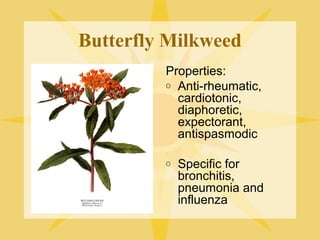 Butterfly Milkweed
Properties:
o Anti-rheumatic,
cardiotonic,
diaphoretic,
expectorant,
antispasmodic
o

Specific for
bronchitis,
pneumonia and
influenza

 