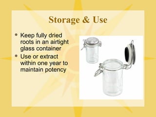 Storage & Use
Keep fully dried
roots in an airtight
glass container
 Use or extract
within one year to
maintain potency


 