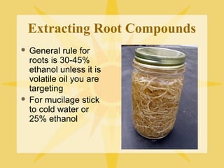 Extracting Root Compounds
General rule for
roots is 30-45%
ethanol unless it is
volatile oil you are
targeting
 For mucilage stick
to cold water or
25% ethanol


 