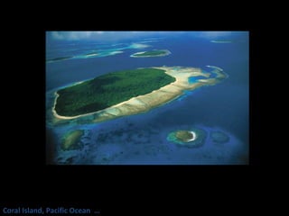 Coral Island, Pacific Ocean  … 
