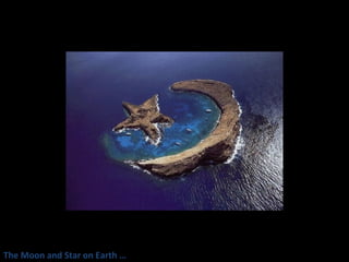 The Moon and Star on Earth … 