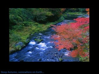 Deep Autumn, somewhere on Earth… 