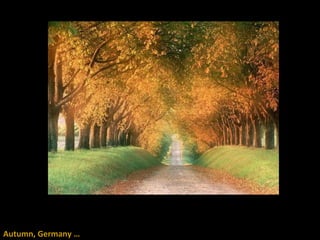 Autumn, Germany … 