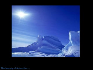 The beauty of Antarctica … 
