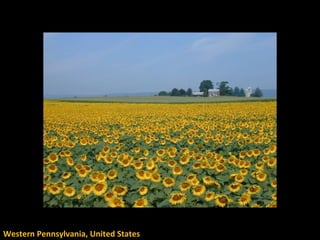 Western Pennsylvania, United States 