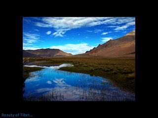 Beauty of Tibet… 