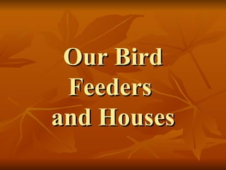 Our Bird Feeders  and Houses 