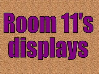 Room 11's  displays 