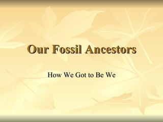 Our Fossil Ancestors How We Got to Be We 