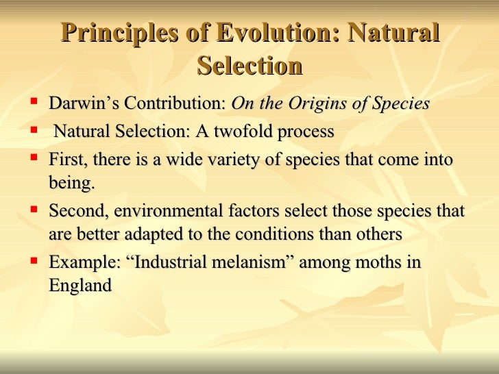Darwin S Theory Of Evolution By Natural Selection Parts Darwin S Theory Of Evolution By Natural Selection Parts