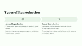 Type of Reproductio
A exual Reproductio
A single parent produces offspring that are exact copies
of itself.
Examples: Vegetative propagation in plants, cell division
in bacteria and amoeba.
Sexual Reproductio
Two parents contribute genetic material, creating
offspring with a mix of traits.
This mixing helps maintain useful features while allowing
new ones to appear.
 