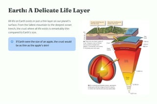 Eart : A Delicate Life Layer
All life on Earth exists in just a thin layer on our planet's
surface. From the tallest mountain to the deepest ocean
trench, the crust where all life exists is remarkably thin
compared to Earth's size.
If Earth were the size of an apple, the crust would
be as thin as the apple's skin!
 